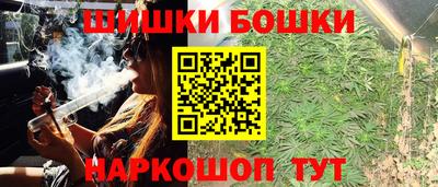 a pvp Гатчина