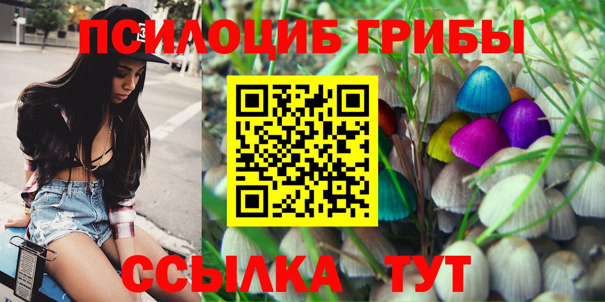 Псилоцибиновые грибы GOLDEN TEACHER Новочебоксарск