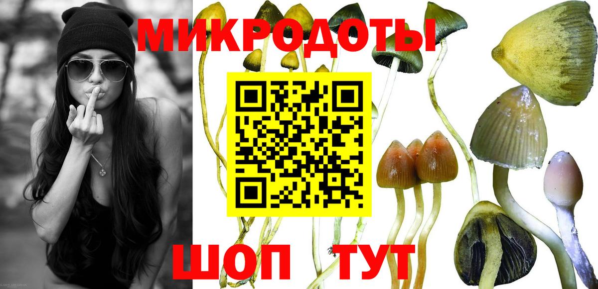 Псилоцибиновые грибы прущие грибы Новочебоксарск