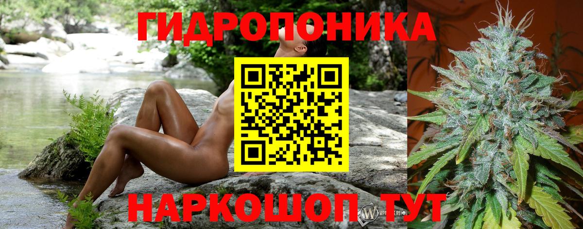 Бошки Шишки MAZAR  Новочебоксарск  МАРИХУАНА планчик  МАРИХУАНА THC 21% 